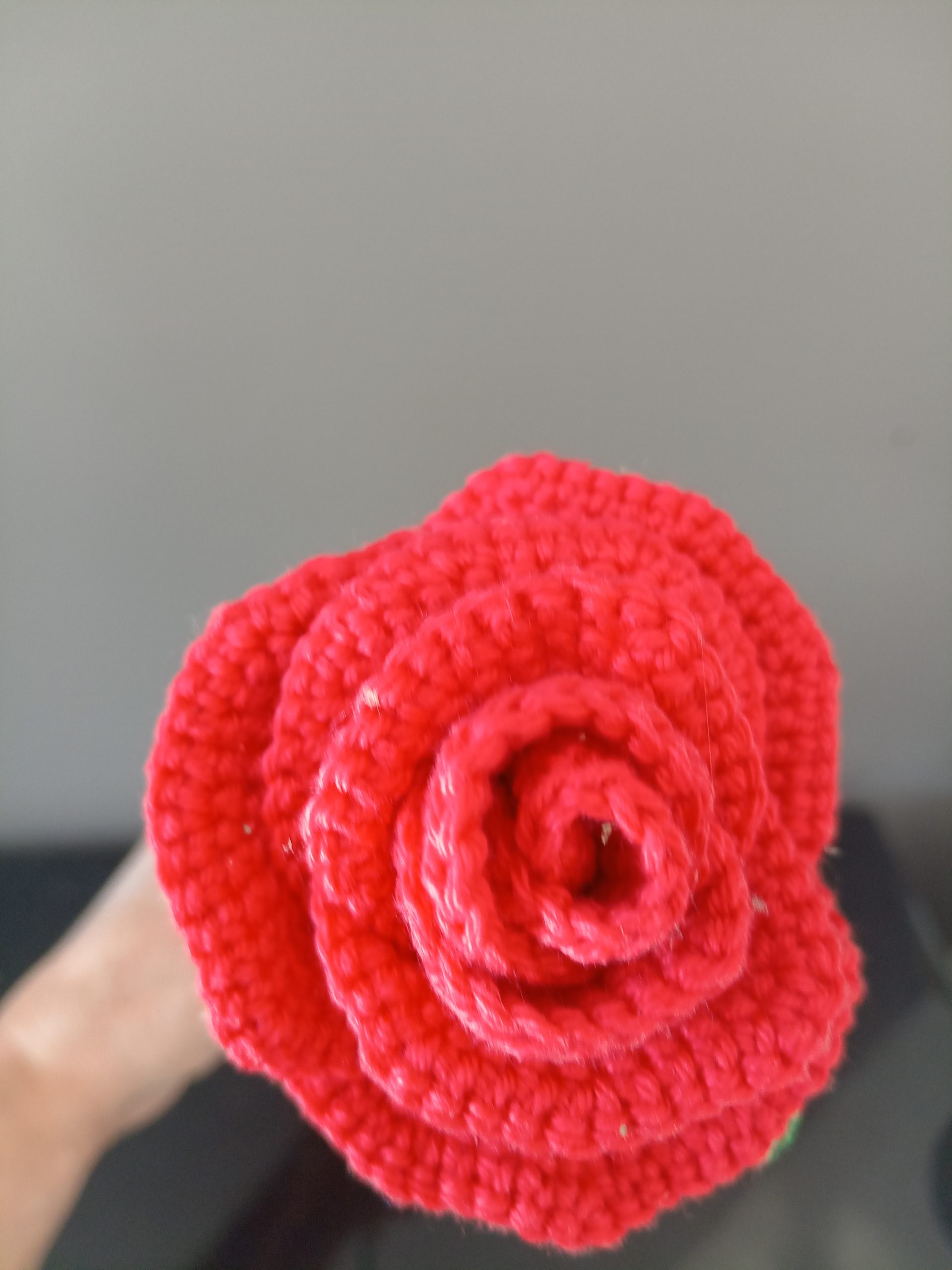 ROSE unique – Image 3