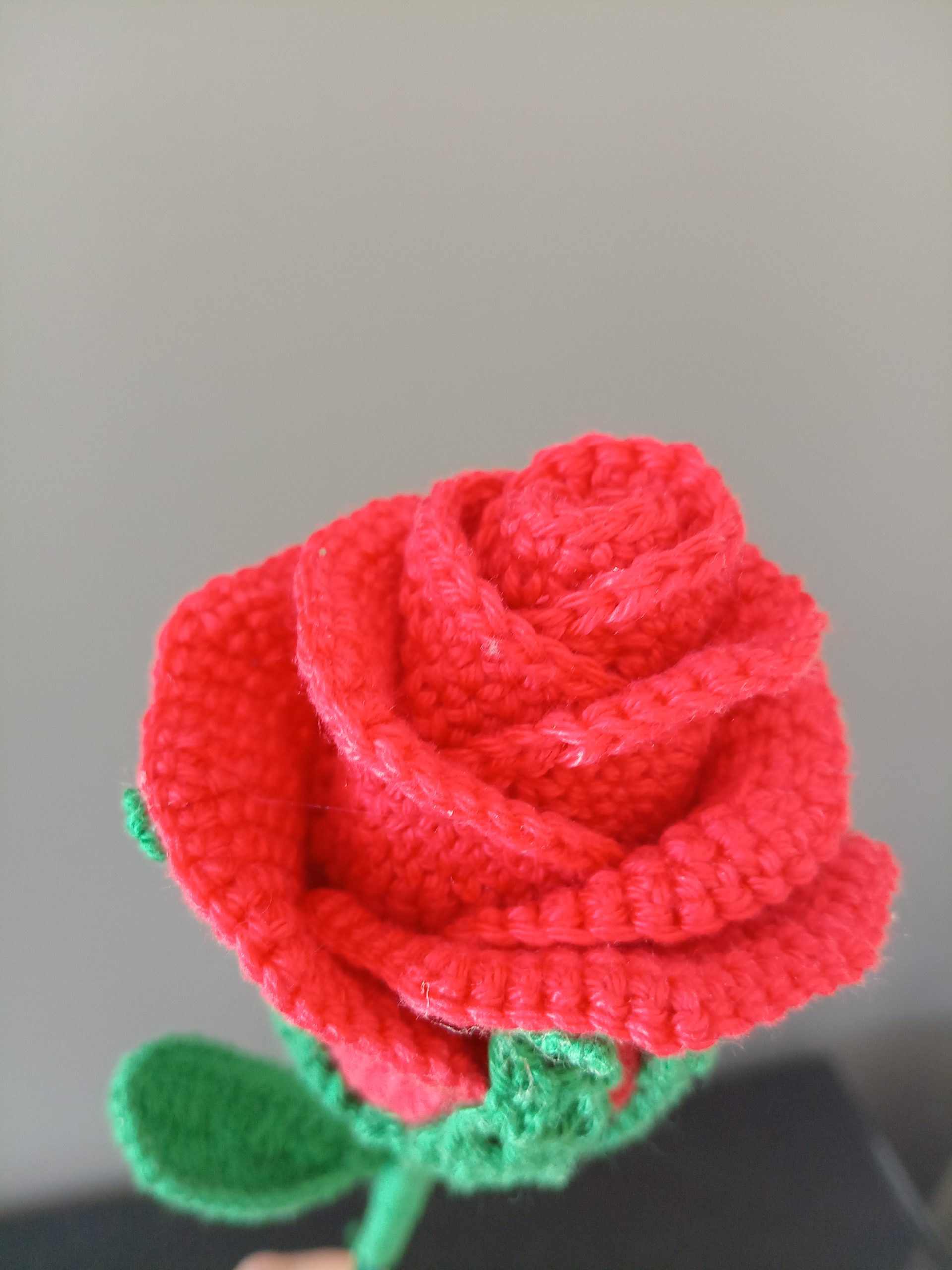 ROSE unique – Image 2