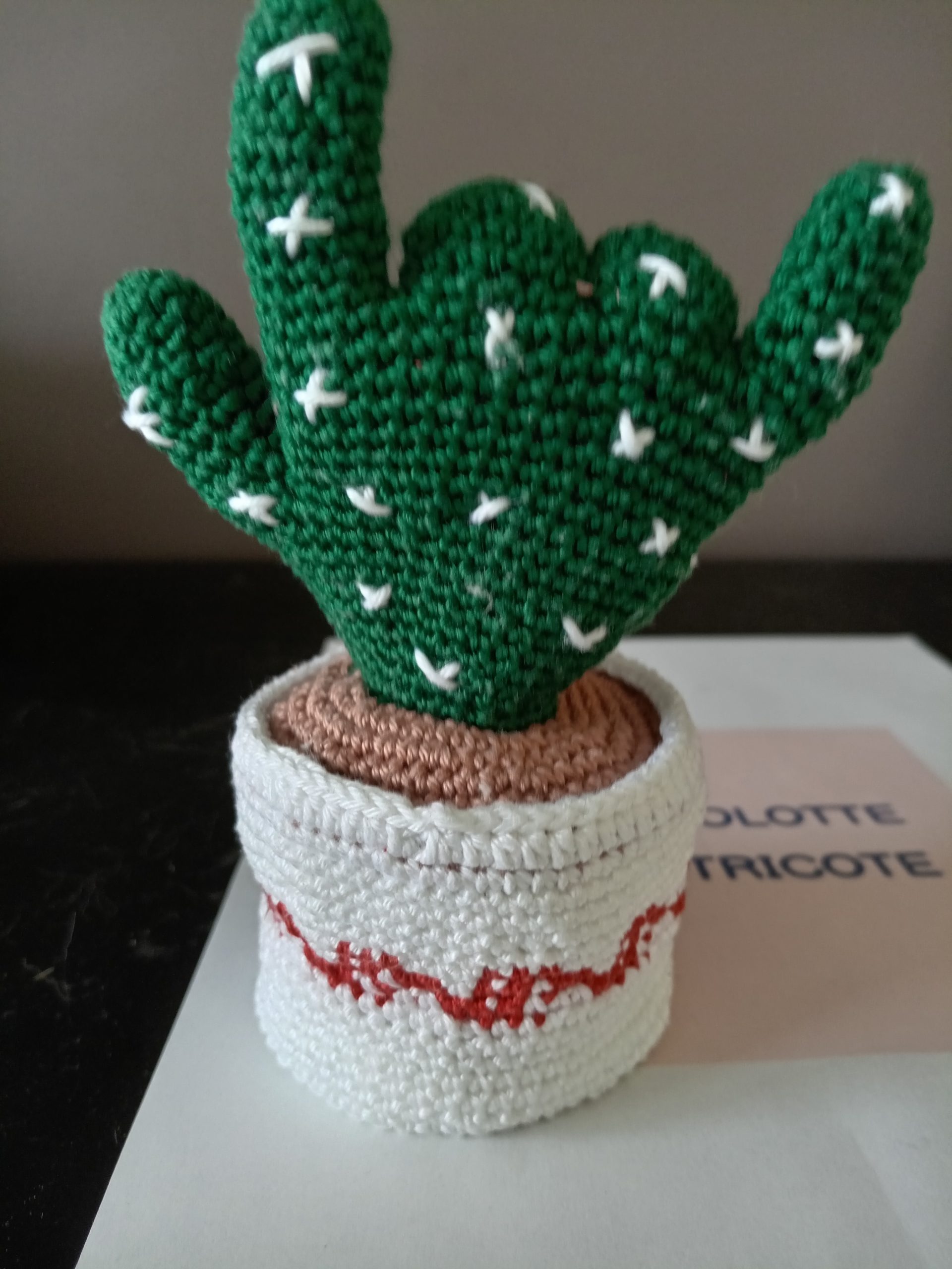 Cactus – Image 2
