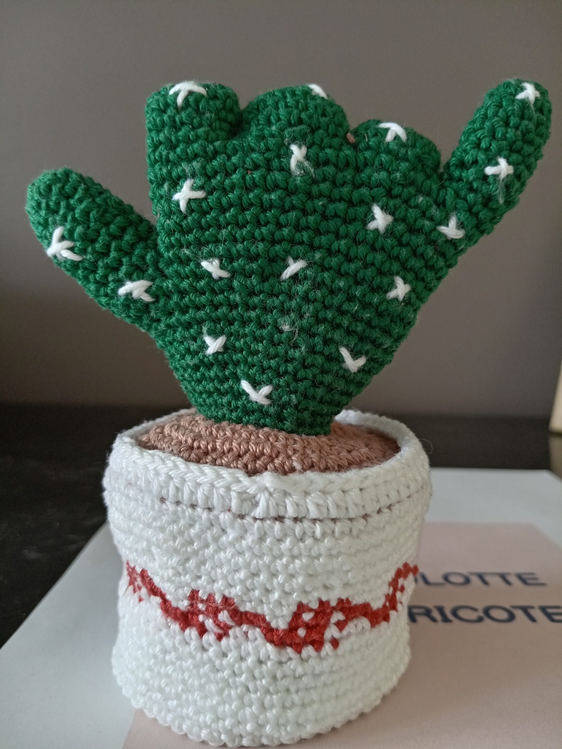 Cactus – Image 3