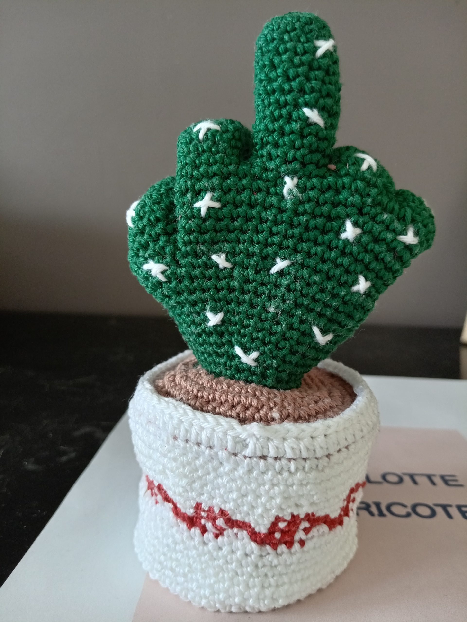 Cactus – Image 4