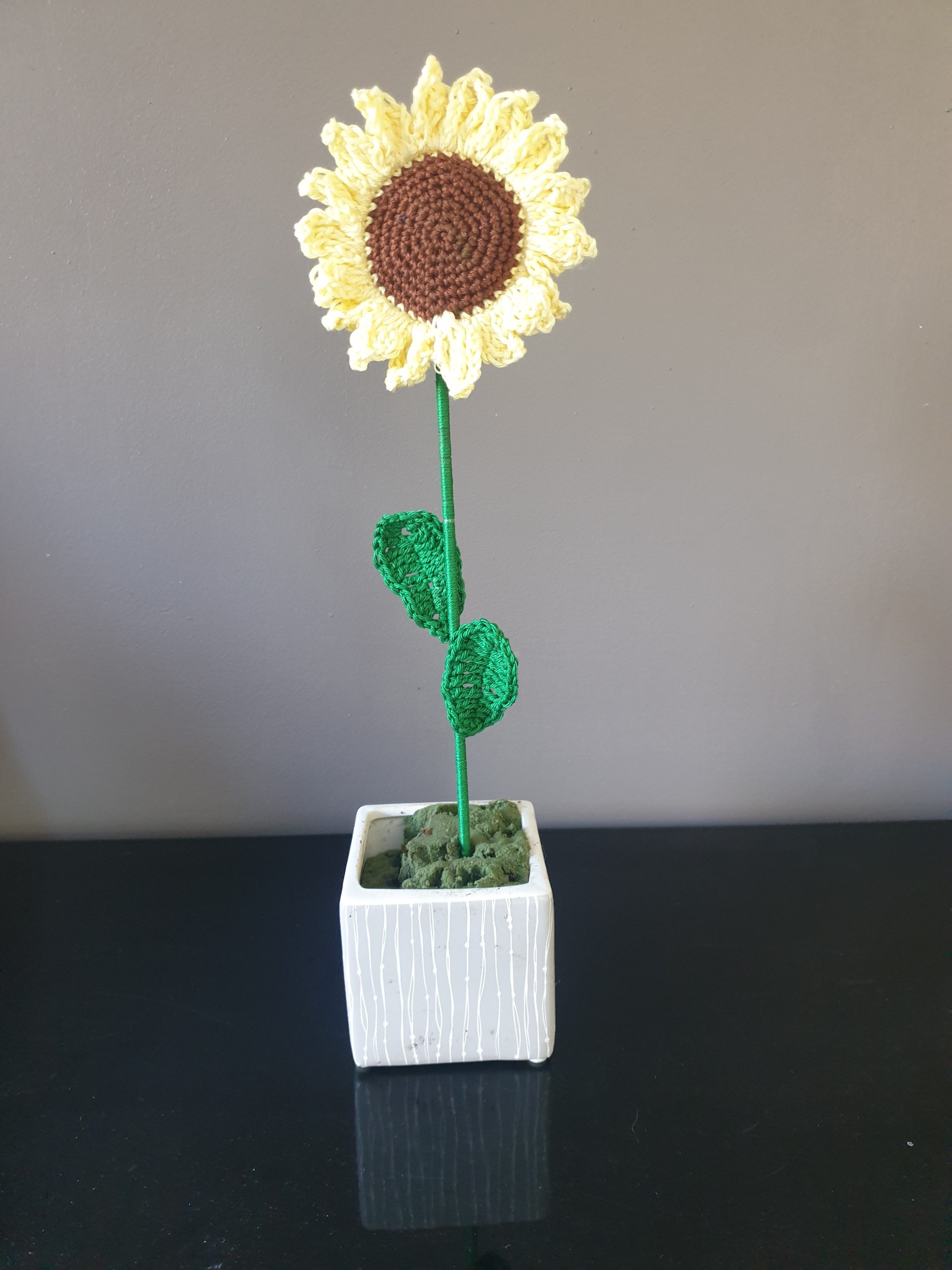 Tournesol – Image 2