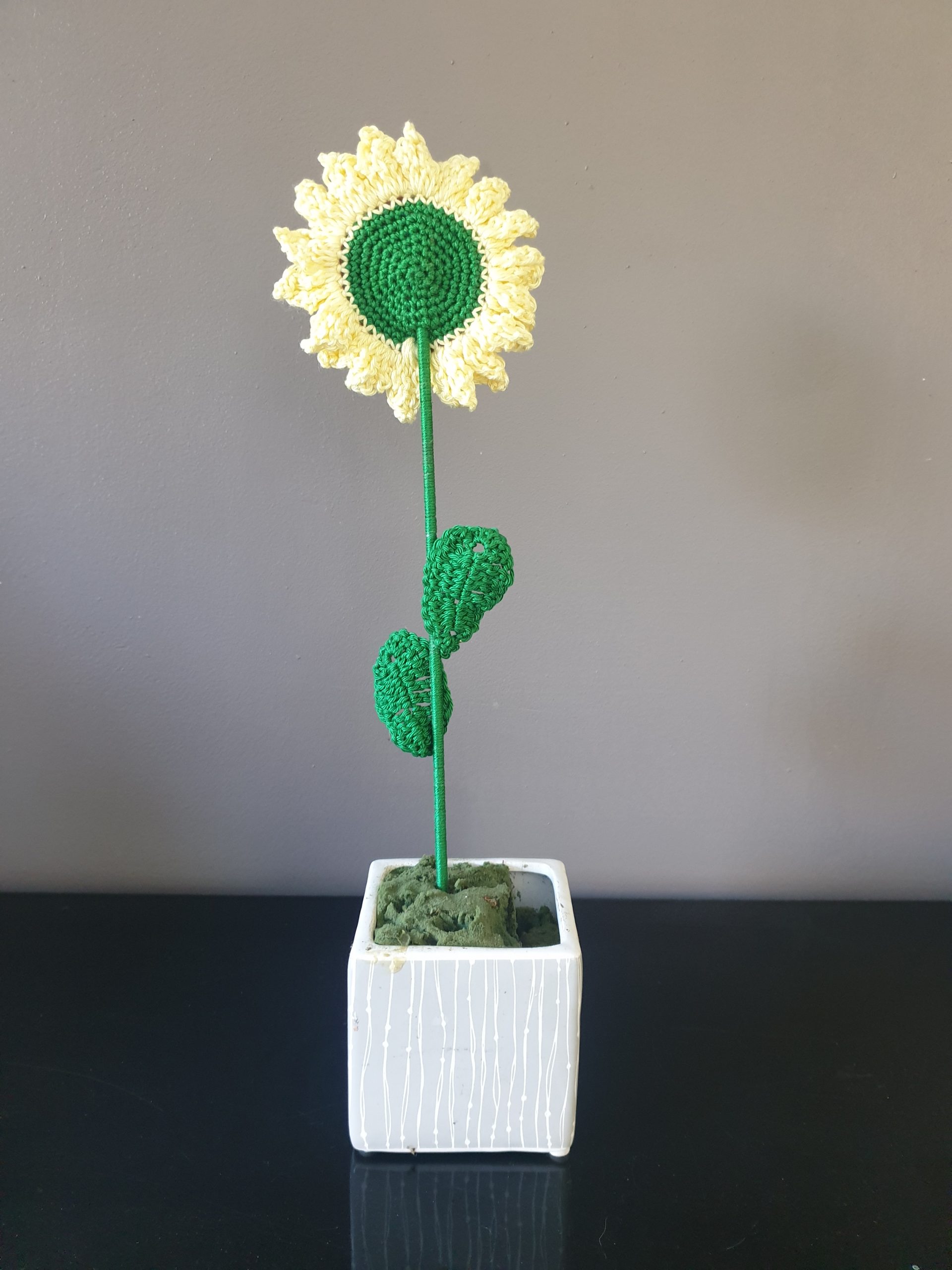 Tournesol – Image 3